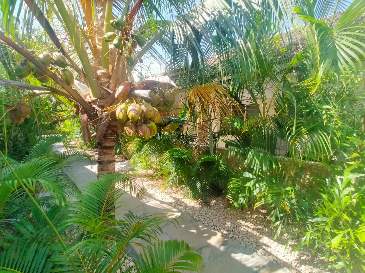 Arica Palm Hotel Gallery Image